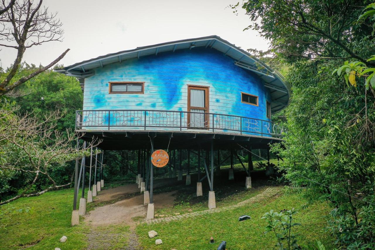 Moon Wonders Vacation House Monteverde Εξωτερικό φωτογραφία